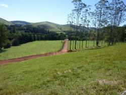 Terreno para Venda em Cunha - 4