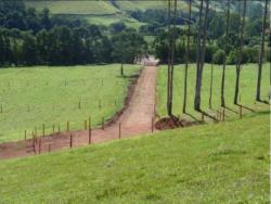 Terreno para Venda em Cunha - 5