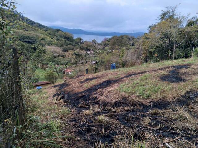 Área para Venda em Paraty - 5