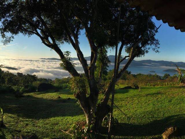 #CA202126 - Casa para Venda em Paraty - RJ