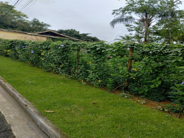 Venda em Caboré - Paraty