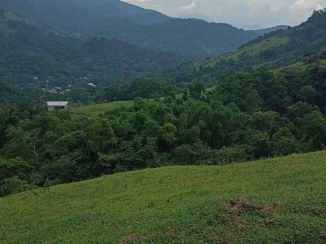 Chácara para Venda em Paraty - 4