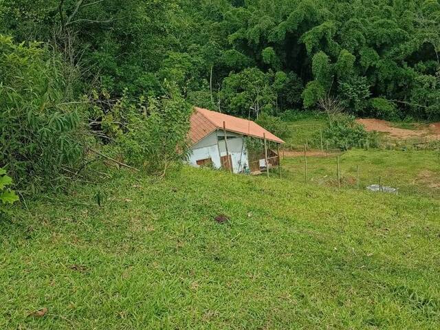 Chácara para Venda em Paraty - 5