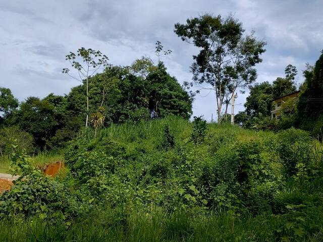 Área para Venda em Paraty - 5