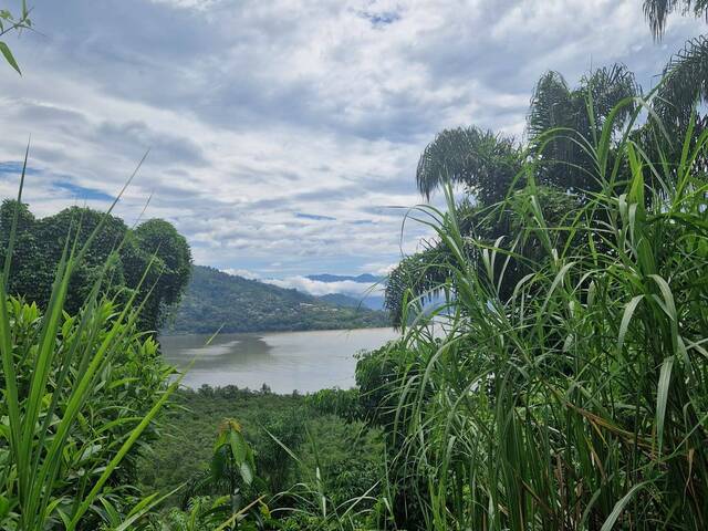 Venda em Corumbê - Paraty