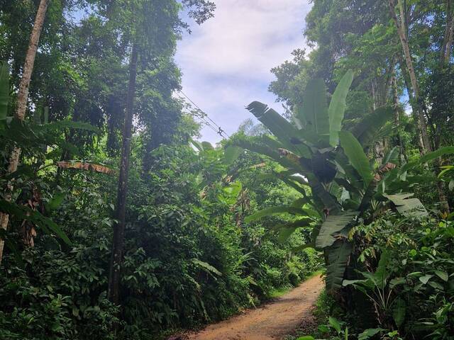 #AR202402 - Área para Venda em Paraty - RJ