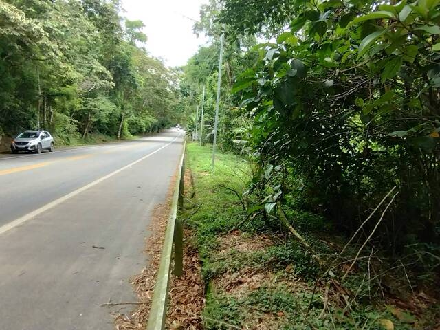 Venda em Pedras Azuis - Paraty