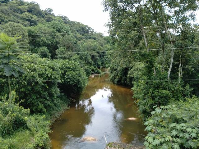 Área para Venda em Paraty - 4