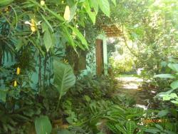 Casa para Venda em Paraty - 4