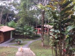 Venda em Pedra Branca - Paraty